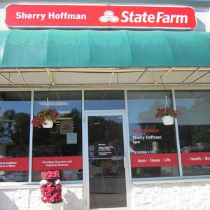 Team Page: Hoffman State Farm